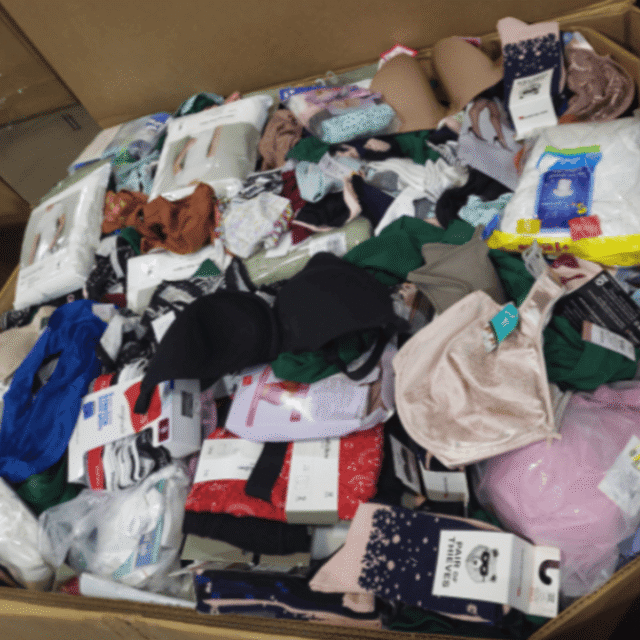 Target APPAREL Undergarments Truckload – Lot 1